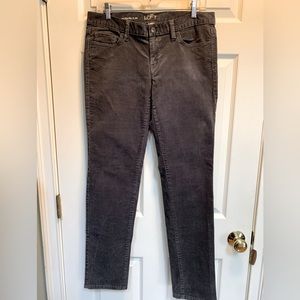 LOFT modern slim 97% cotton, gray corduroy size 8